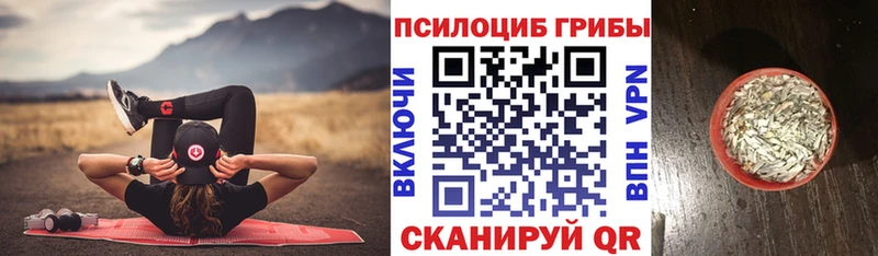 Купить  Михайловка  Псилоцибиновые грибы мицелий 